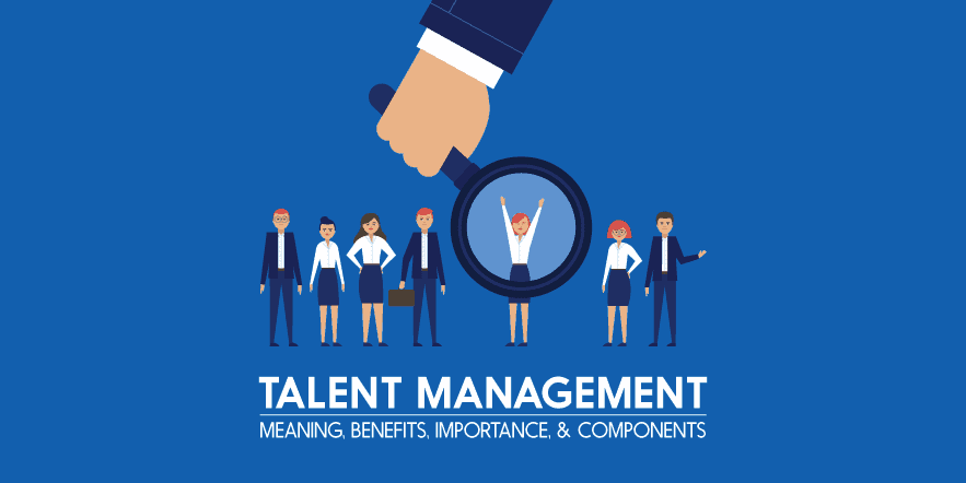 فرایند مدیریت استعداد چیست؟